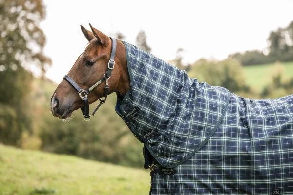 fundis-equestrian202607250235113310305