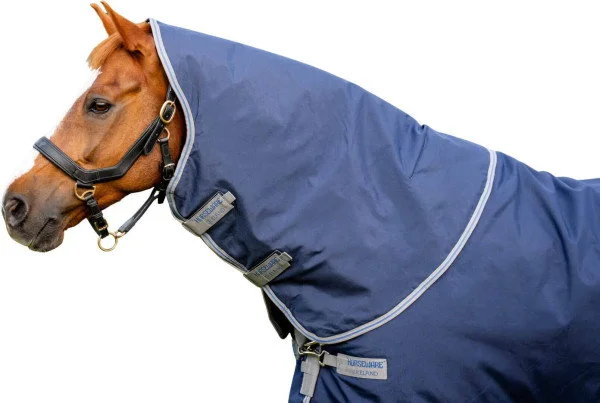 fundis-equestrian202607250235113310306