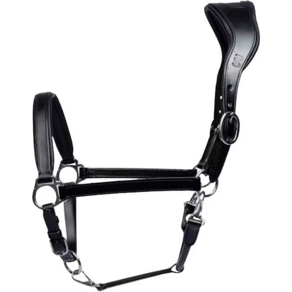 fundis-equestrian202607250238183310616