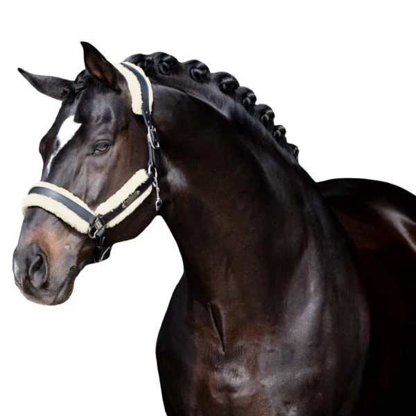 fundis-equestrian202607250240073310799