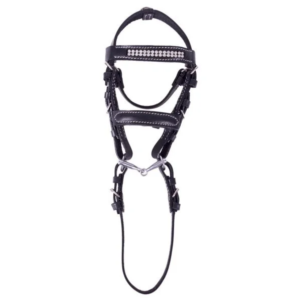 fundis-equestrian202607250244153311234