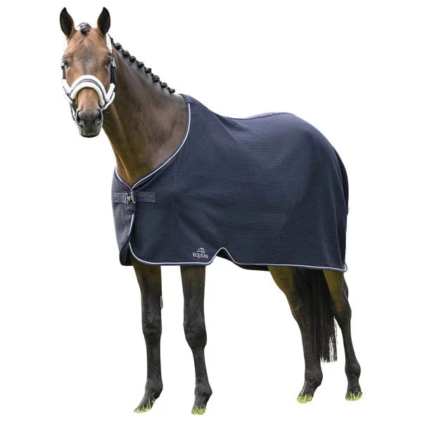 fundis-equestrian202607250245483311415
