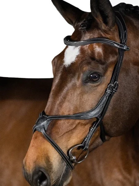 fundis-equestrian202607250249143311770