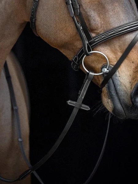 fundis-equestrian202607250250583311956
