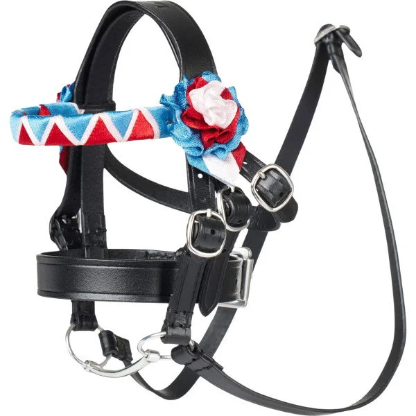fundis-equestrian202607250302413313193