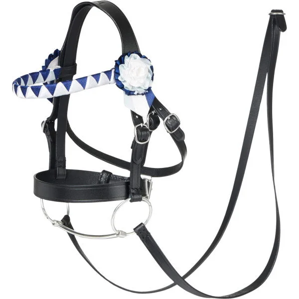 fundis-equestrian202607250302443313202