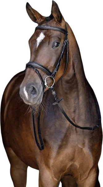 fundis-equestrian202607250304523313441
