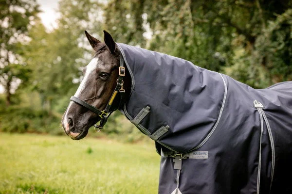 fundis-equestrian202607250304563313453
