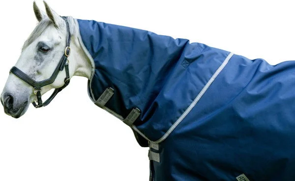 fundis-equestrian202607250305473313538