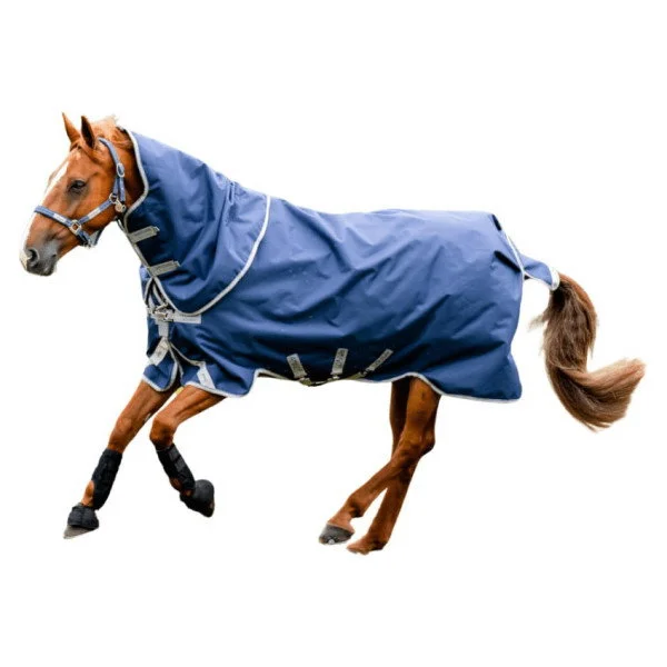 fundis-equestrian202607250305593313561