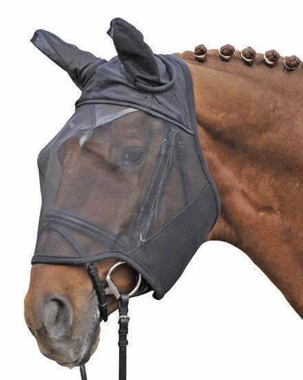 fundis-equestrian202607250307183313697
