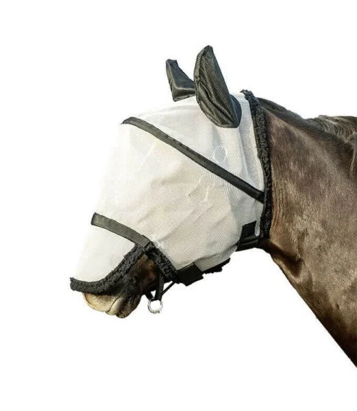fundis-equestrian202607250307253313707