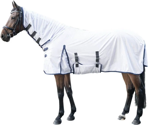 fundis-equestrian202607250307343313722