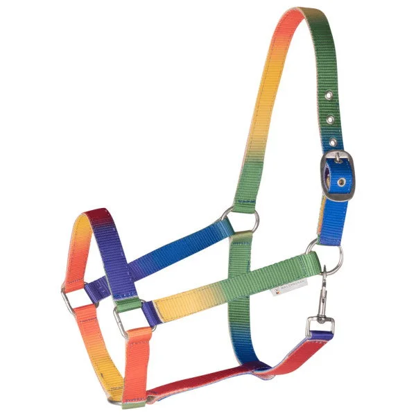 fundis-equestrian202607250307383313733