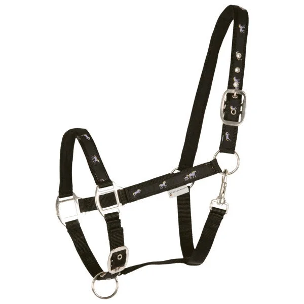 fundis-equestrian202607250307393313734