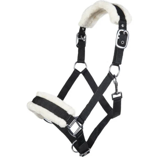 fundis-equestrian202607250307543313762