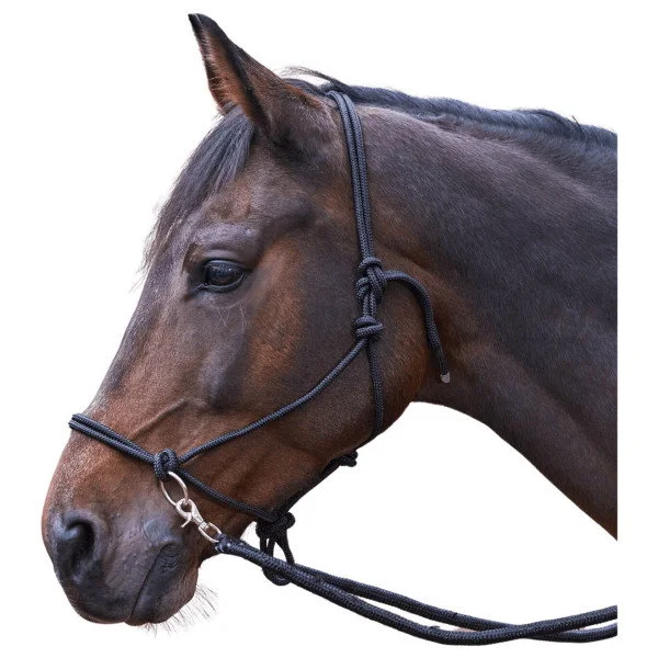 fundis-equestrian202607250308033313770