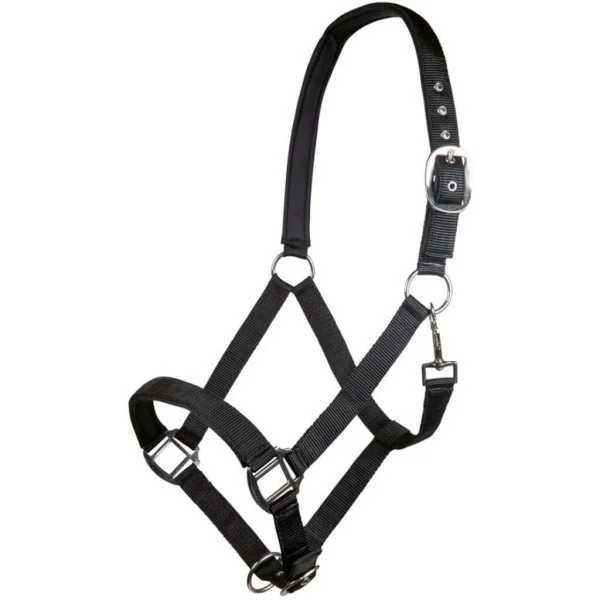 fundis-equestrian202607250308193313797