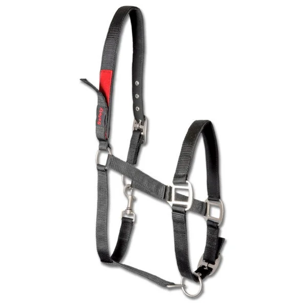 fundis-equestrian202607250308313313819