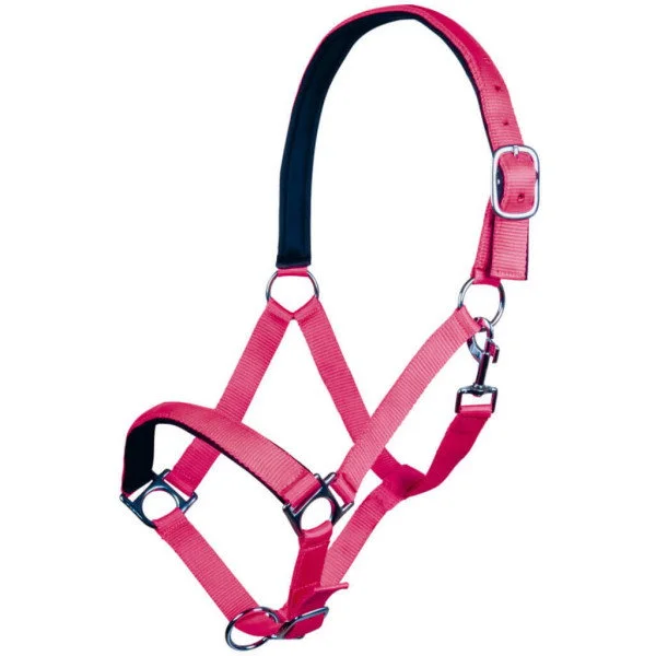 fundis-equestrian202607250308333313821