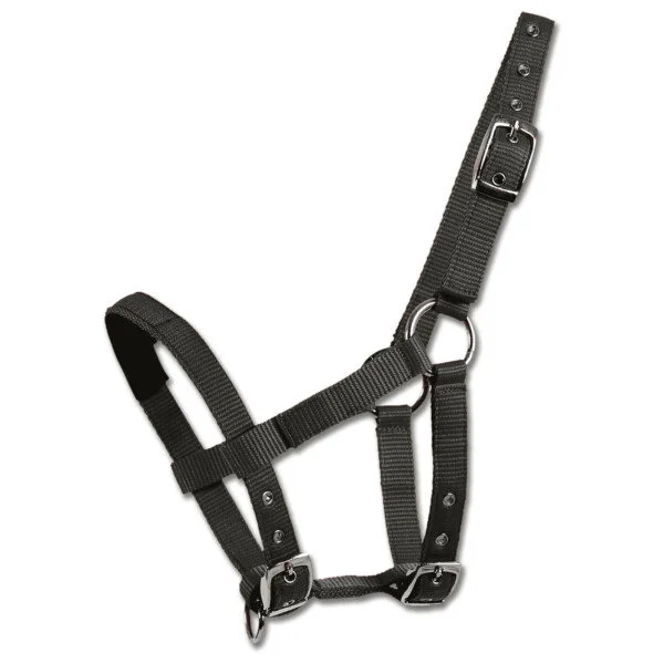 fundis-equestrian202607250308373313826