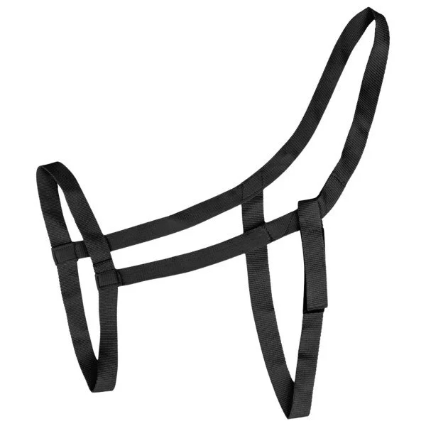 fundis-equestrian202607250308413313831