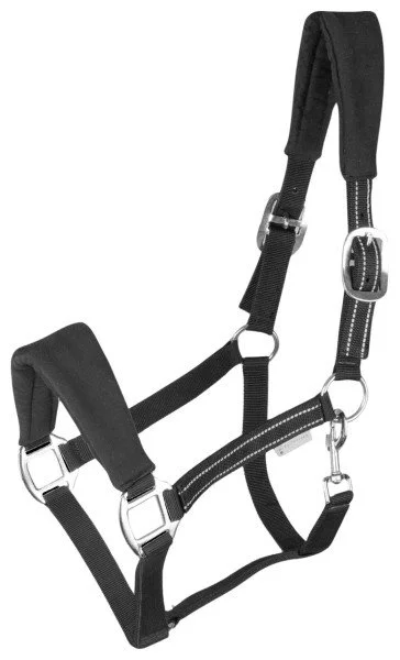 fundis-equestrian202607250308533313852