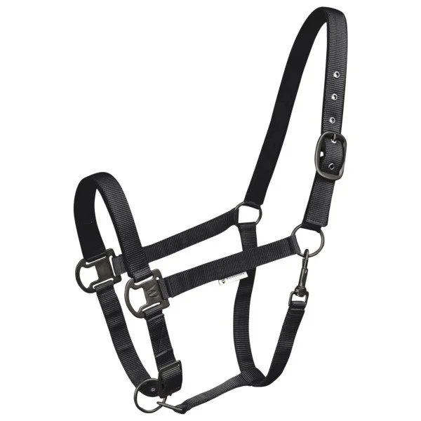 fundis-equestrian202607250309023313868