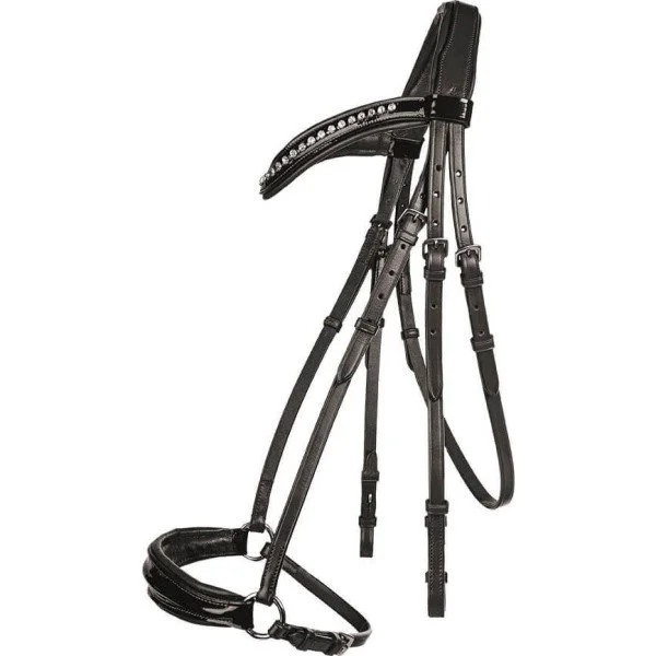 fundis-equestrian202607250309223313903