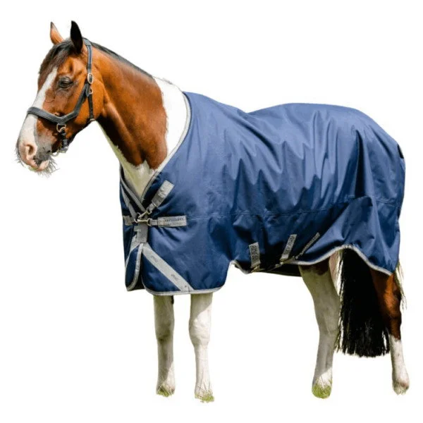 fundis-equestrian202607250310583314045