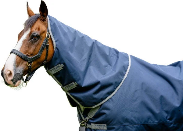 fundis-equestrian202607250310593314047