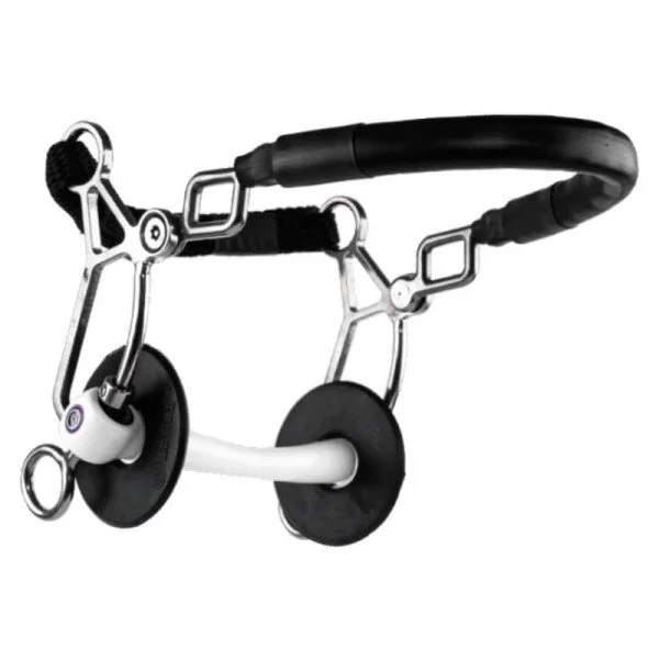 fundis-equestrian202607250311013314051