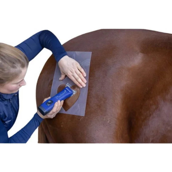 fundis-equestrian202607250311123314067