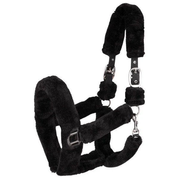 fundis-equestrian202607250311133314069