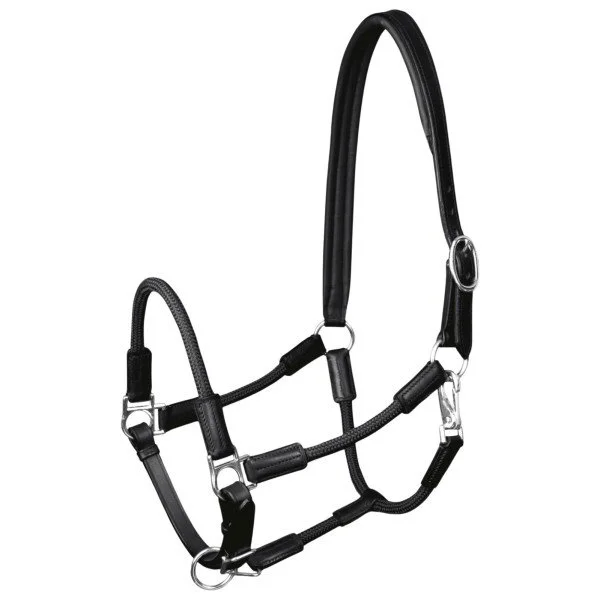 fundis-equestrian202607250311293314095