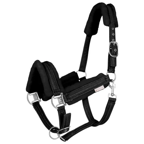 fundis-equestrian202607250311413314116