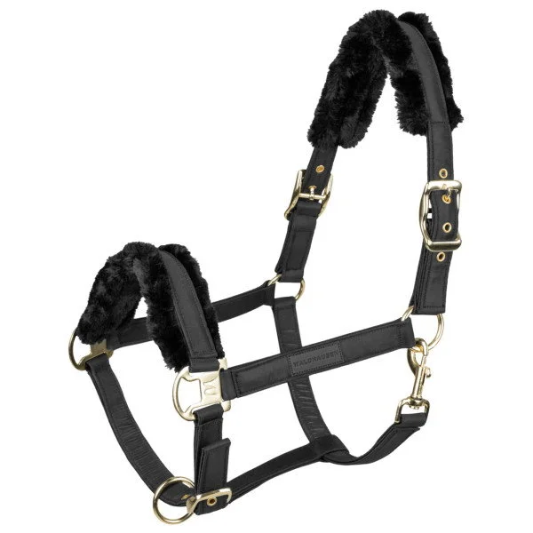 fundis-equestrian202607250312013314146