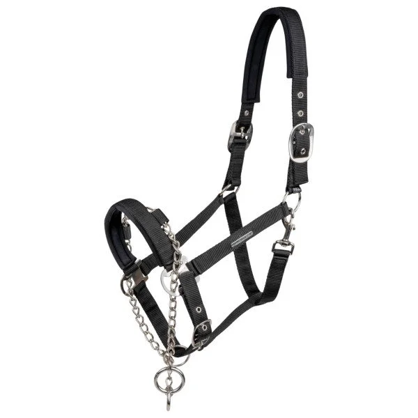fundis-equestrian202607250312093314167