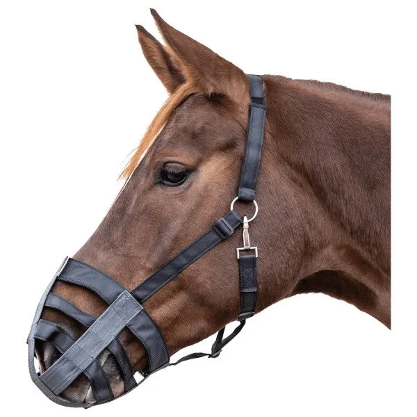 fundis-equestrian202607250312493314232