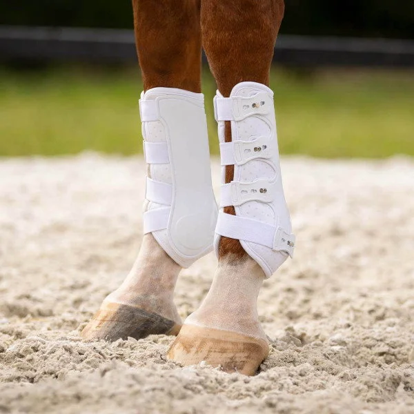 fundis-equestrian202607250313593314334