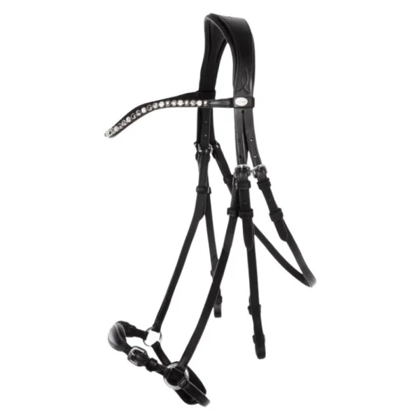 fundis-equestrian202607250314543314415
