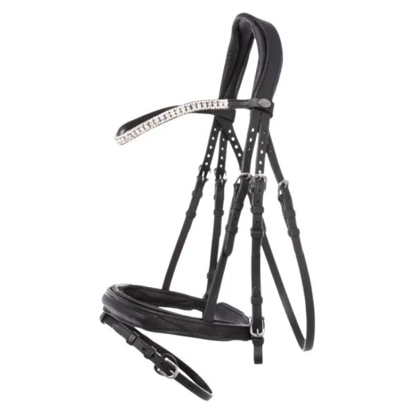 fundis-equestrian202607250315313314471