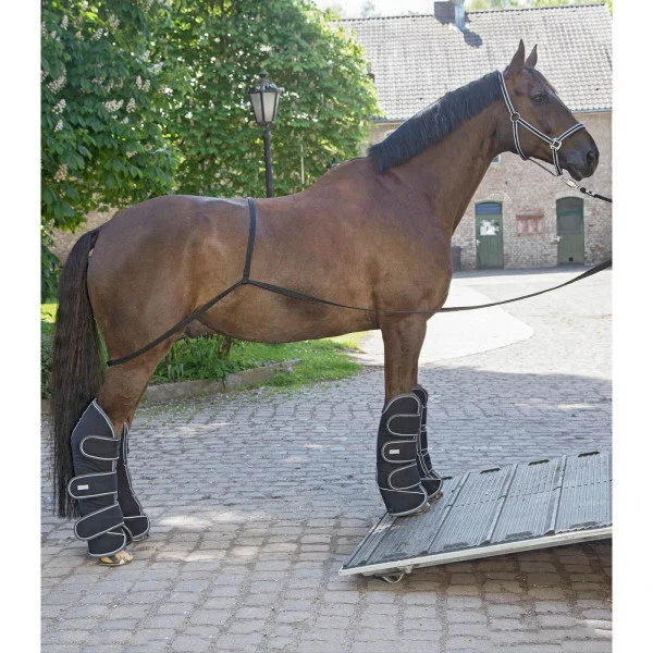 fundis-equestrian202607250316483314611