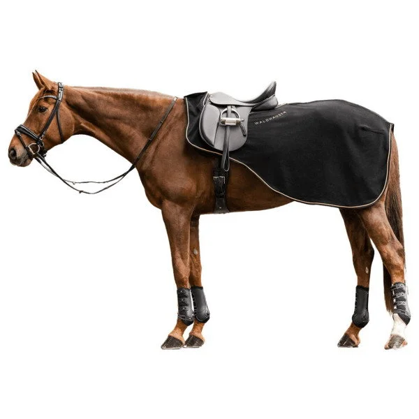 fundis-equestrian202607250317013314634