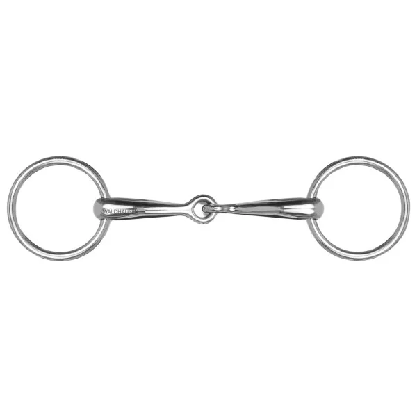 fundis-equestrian202607250318403314808