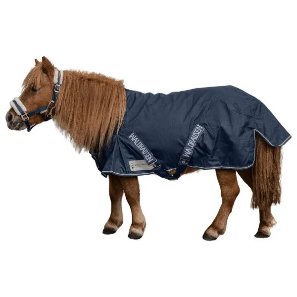 fundis-equestrian202607250323093315238