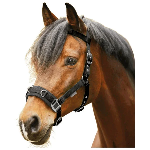 fundis-equestrian202607250325403315489
