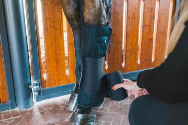 fundis-equestrian202607250328223315825