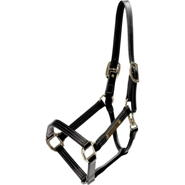 fundis-equestrian202607250329033315909