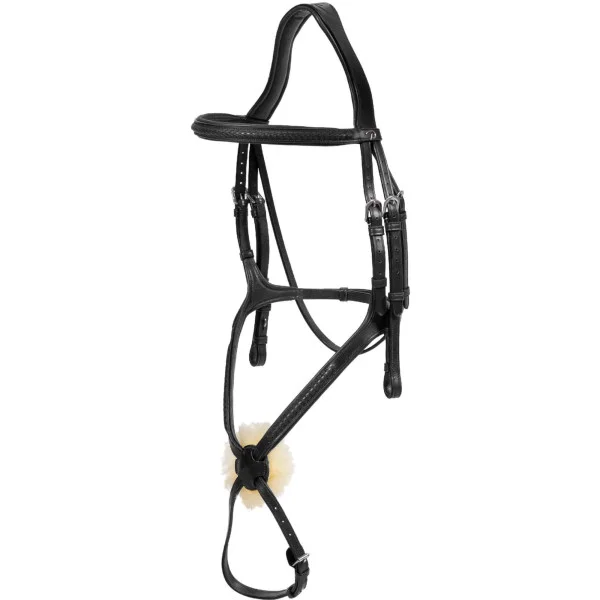 fundis-equestrian202607250330323316091